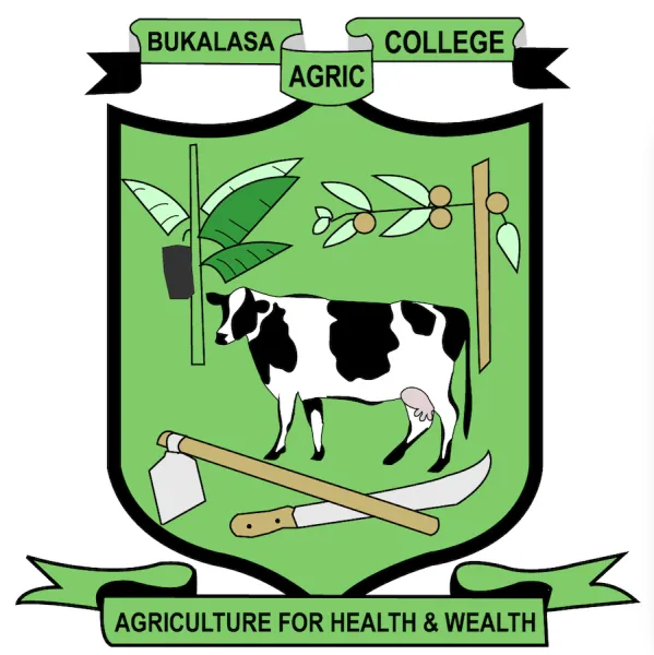 Nakinobe Gertrude